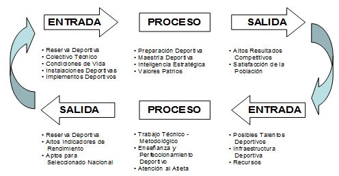 implementación gestión por procesos